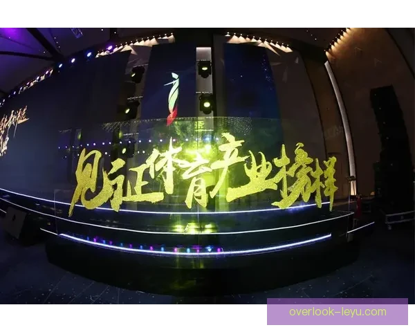 国家队鏖战世界杯决赛逆转夺冠创历史新篇章引爆全民热情再攀高峰