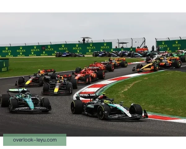 F1赛季最新动态揭秘车队策略与车手排名变动