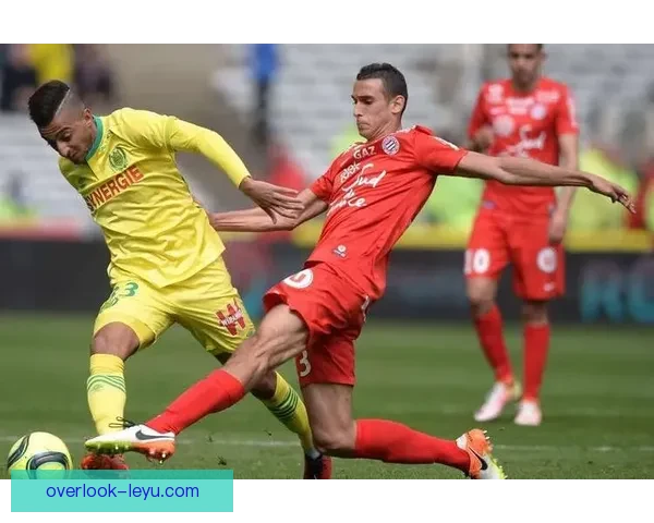 网坛最新动态：顶级球员激战赛事展现非凡实力与精彩对决