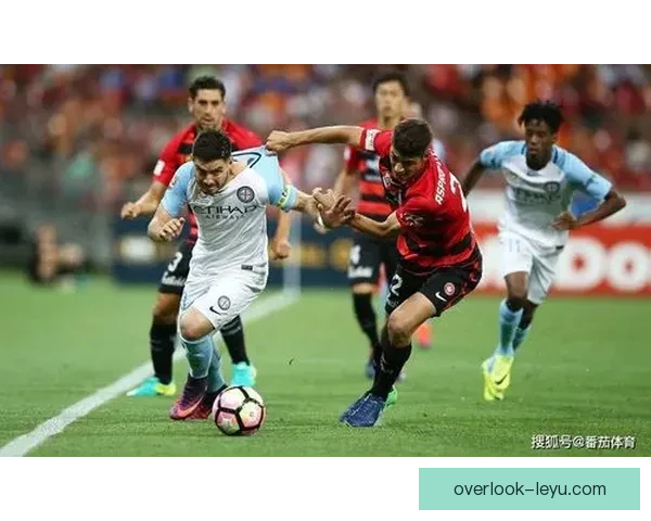 全方位解读本赛季重大体育赛事胜负趋势与数据分析