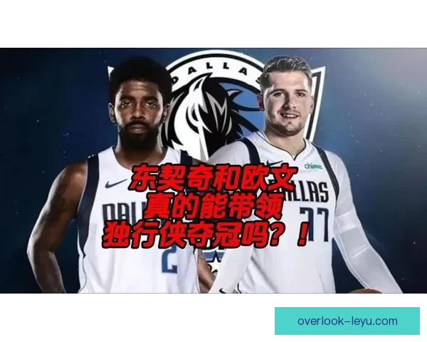 独行侠东契奇欧文挡拆配合效率全面数据解析